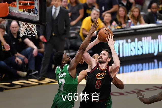 v66体育公司简介图片